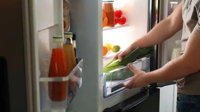 How to Get Rotten Meat Smell Out of Camper Freezer