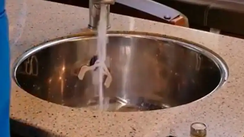 Rinse the Sensor and Burner