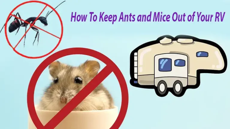 How To Keep Ants and Mice Out of Your RV: Prevention and Natural Control Methods
