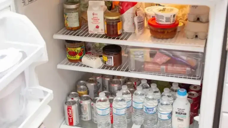 Organizing and Maximizing RV Refrigerator Space | Easy Guide for You