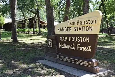 Sam Houston National Forest, Texas