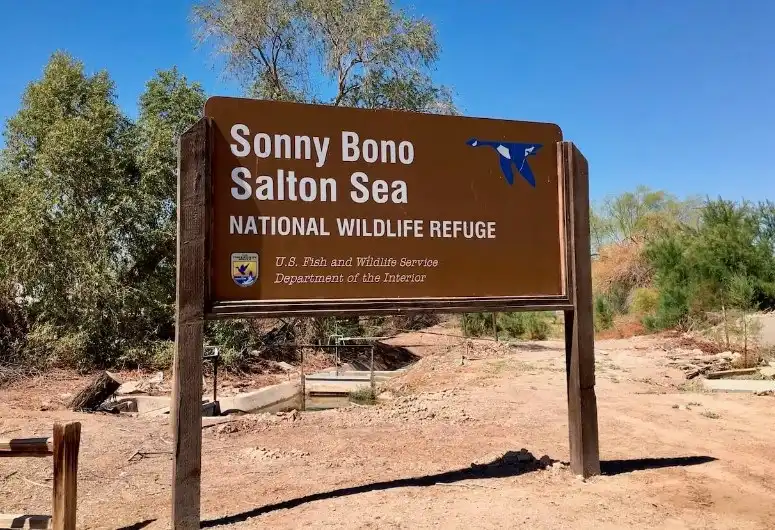 Sonny Bono Salton Sea National Wildlife Refuge, California