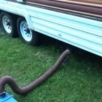 How to Empty Black Water Tank When Boondocking